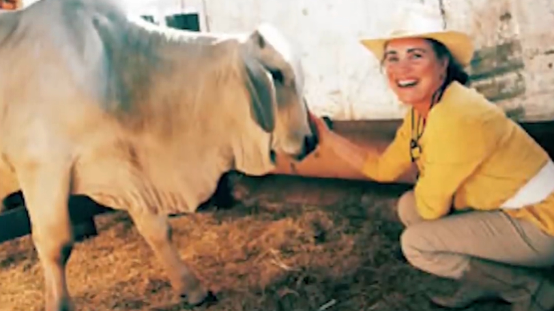Regina Duarte fazenda