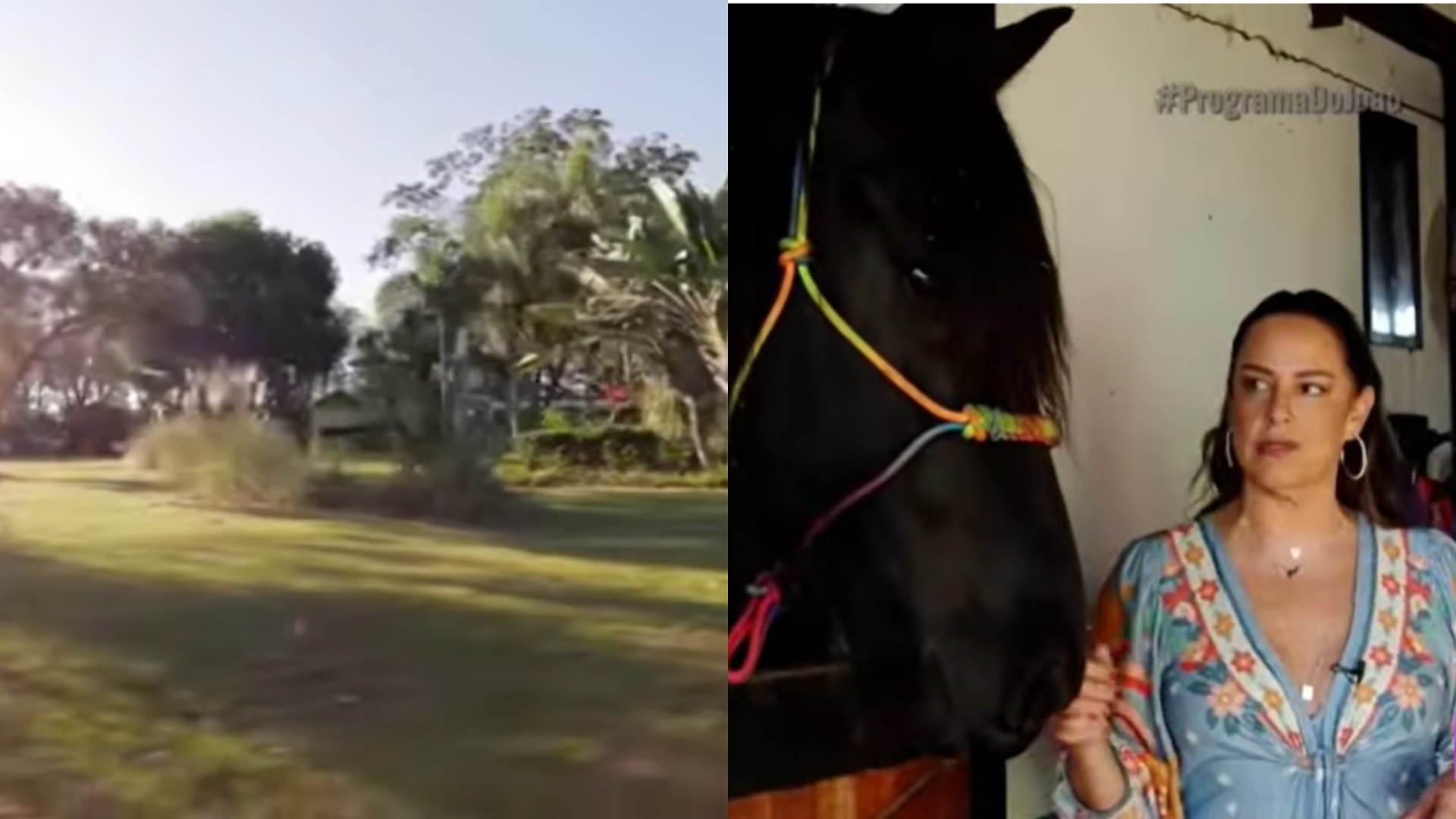Entenda: Aos 55 anos, apresentadora comanda haras de luxo com cavalos de raça usado como refúgio pela família em sua fazenda no interior em SP