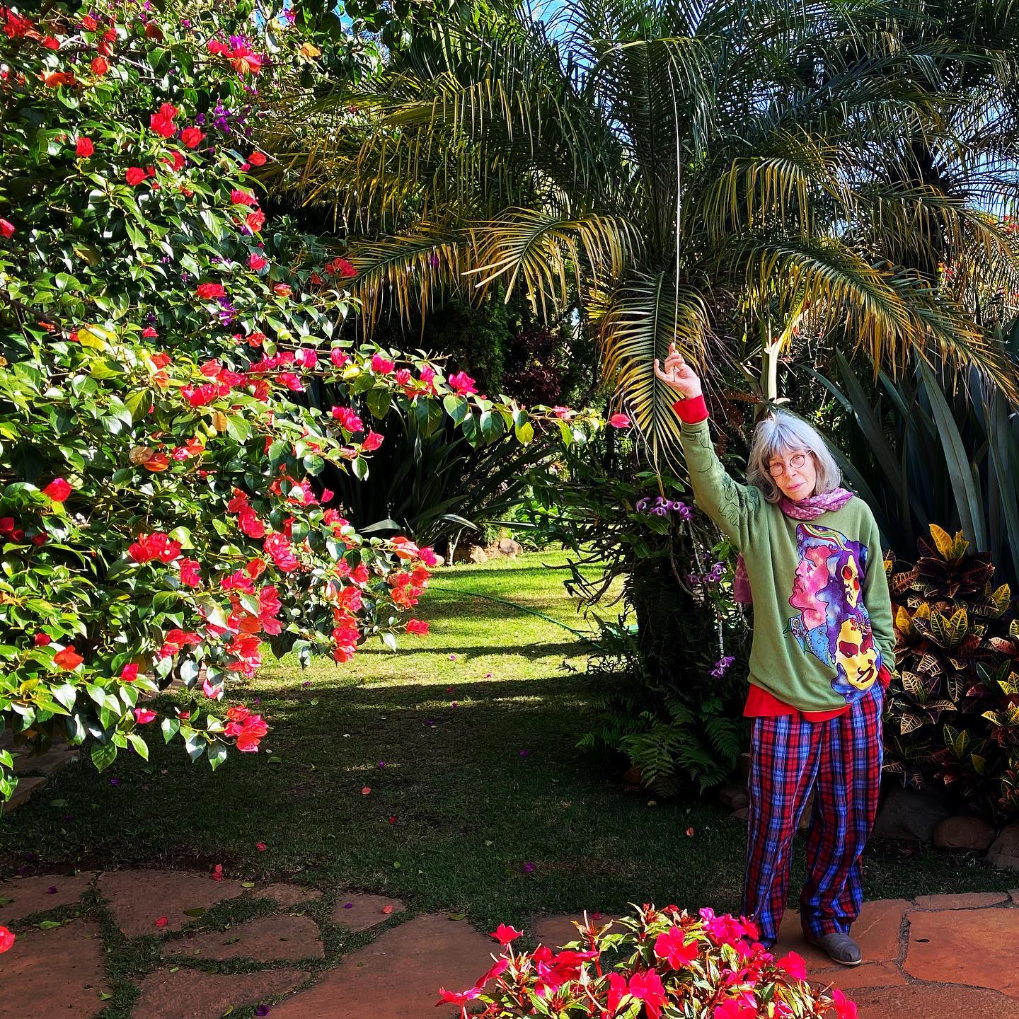 Rita Lee - Foto: Reprodução / Instagram @ritalee_oficial