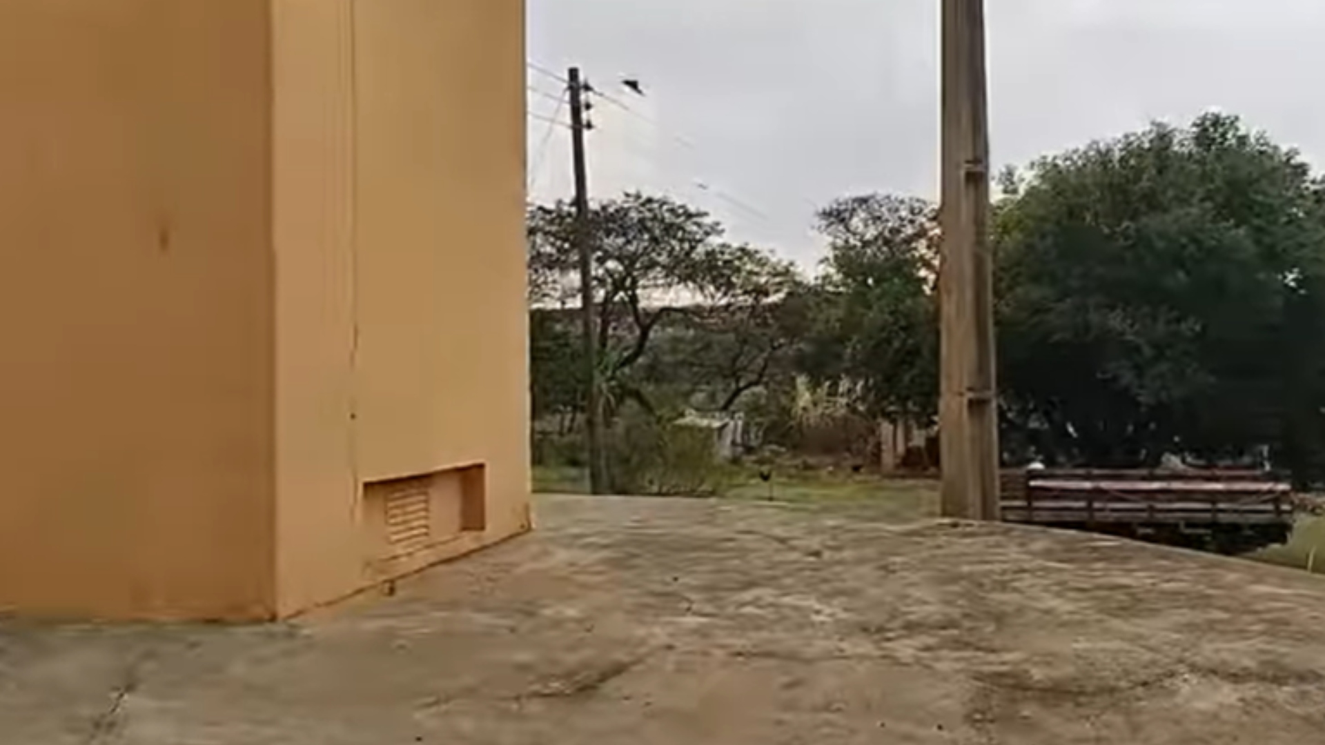 Zé Béttio fazenda