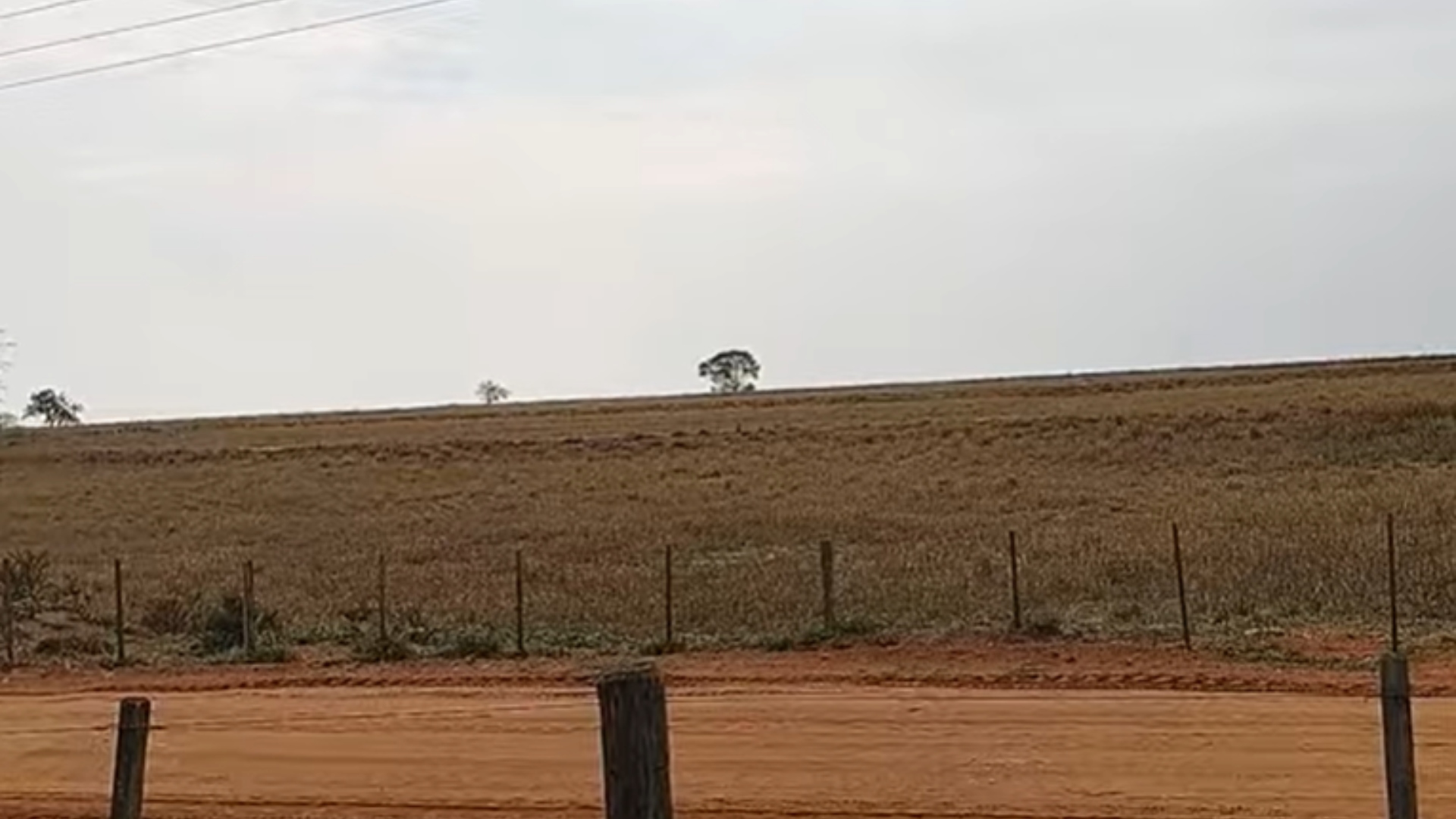 Zé Béttio fazenda