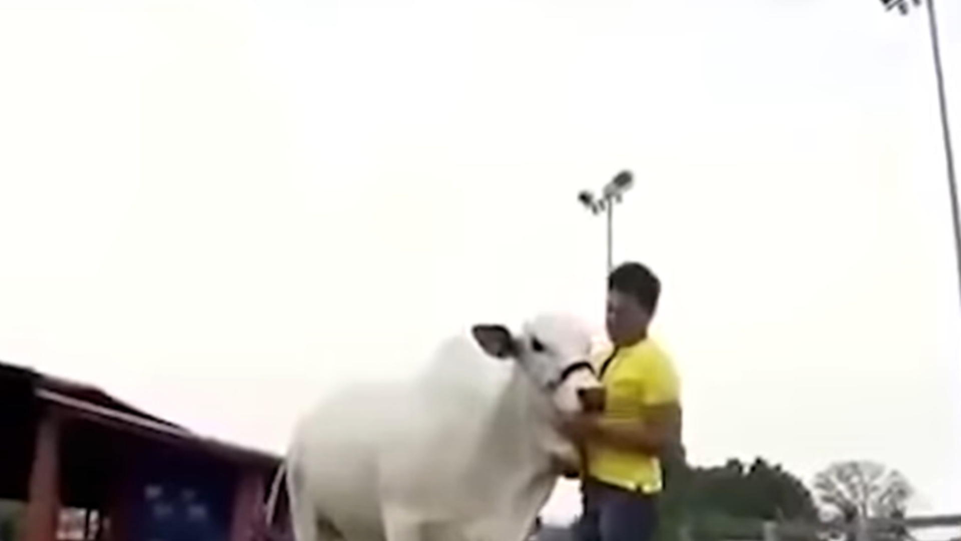 Zezé Di Camargo fazenda