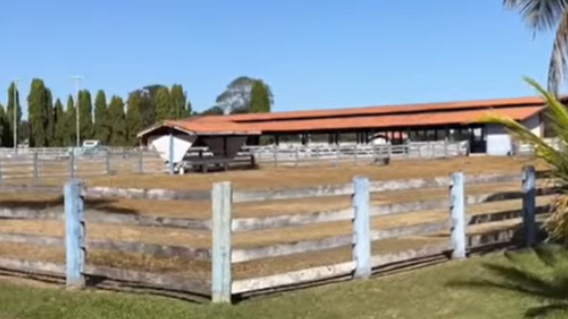 Zezé Di Camargo fazenda