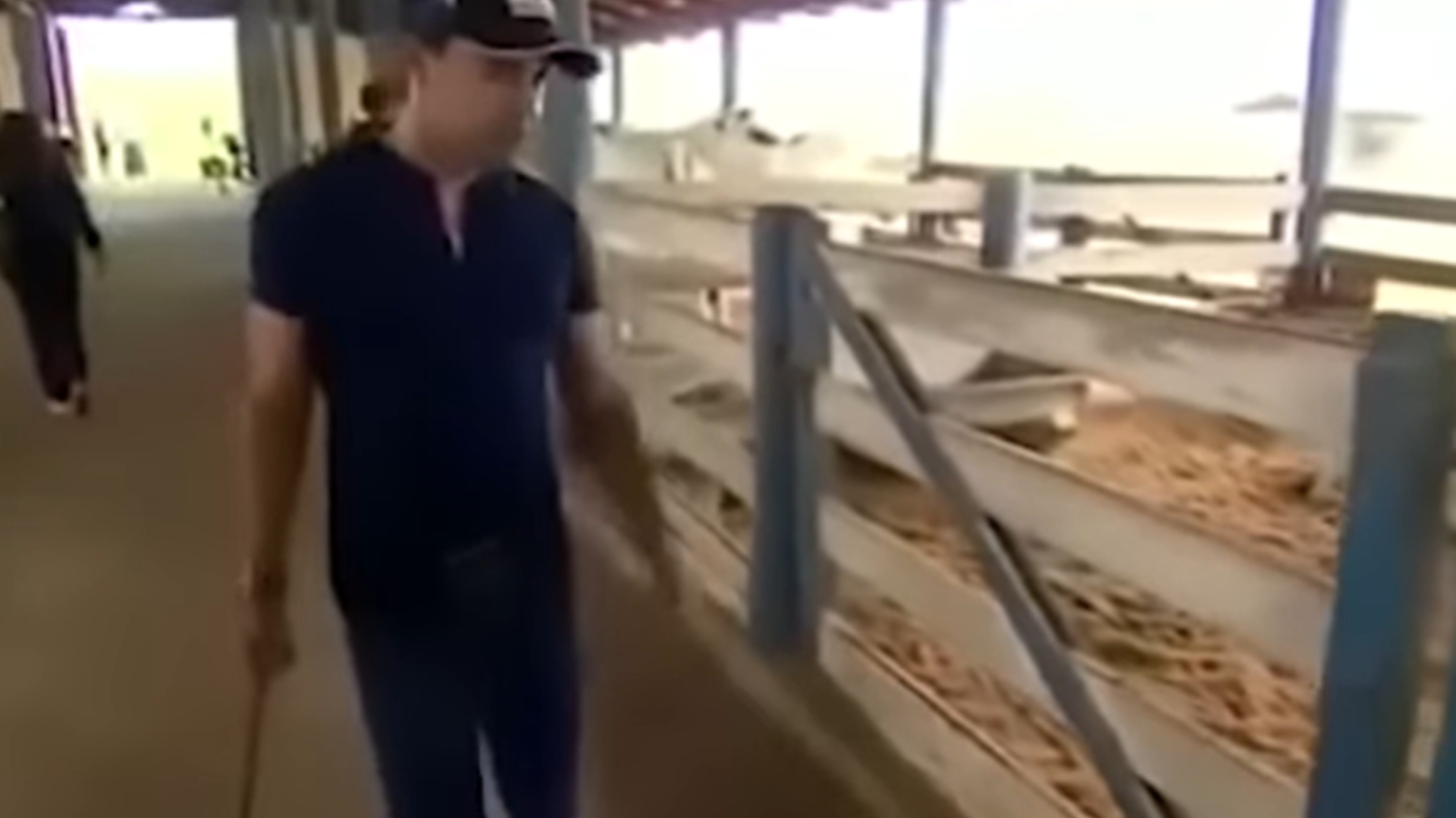 Zezé Di Camargo fazenda