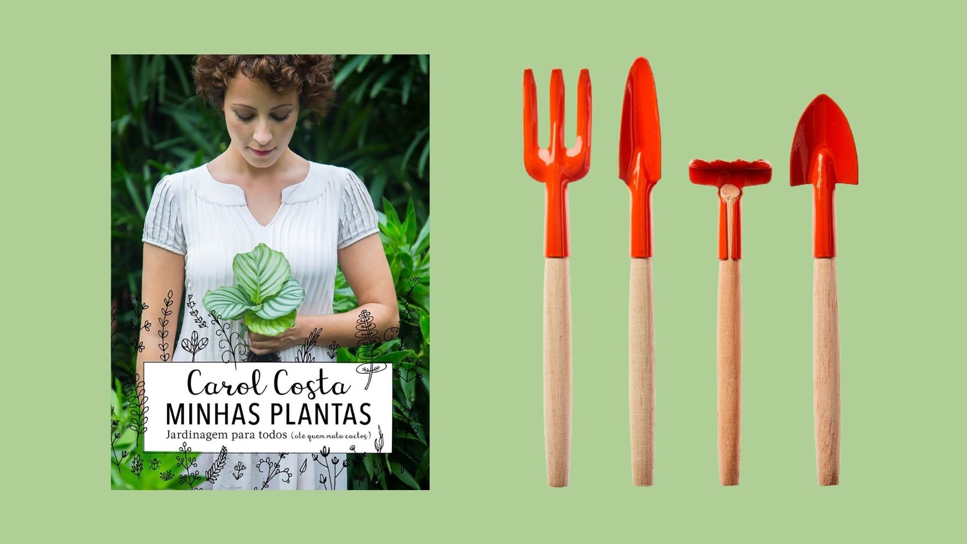 Jardinagem: 10 itens que vão te ajudar a cuidar das suas plantas