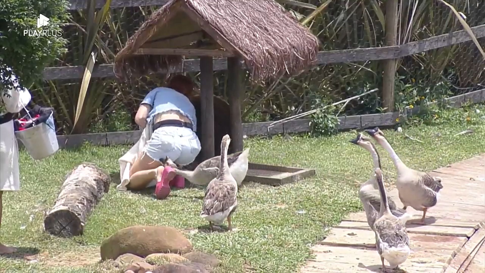A Fazenda 14: Deborah leva bicada na bunda e diz para o ganso: “Sou sua heroína”