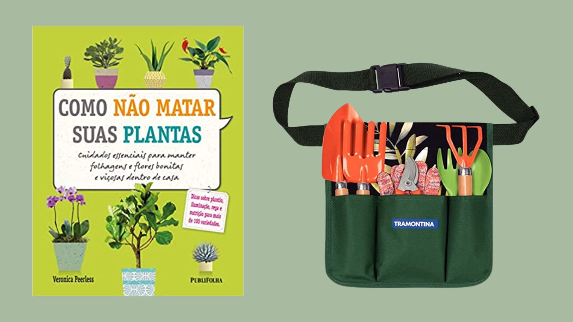 Jardinagem: 12 itens para cuidar das suas plantas