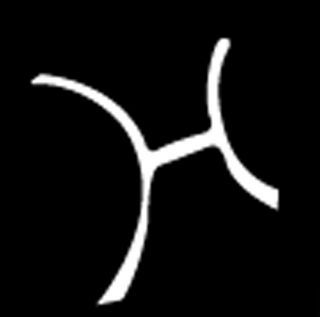 Os signos