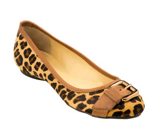 Sapatilha Shoestock