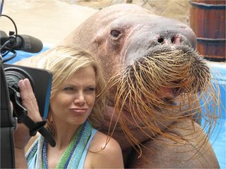 Eliana com a Tammy