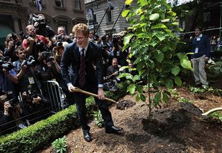 Príncipe Harry planta árvore em NY