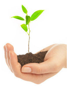 Pequenas atitudes para salvar o planeta