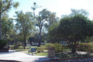 MIAMI BY CAMILA: Winter Park