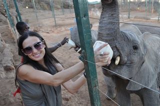 Demi Moore e Kutcher curtem a África
