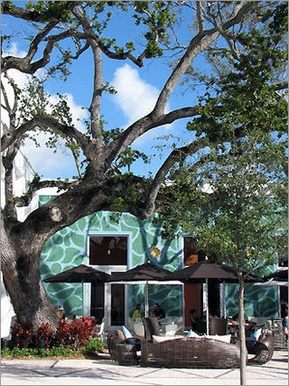 MIAMI BY CAMILA: Miami Design District