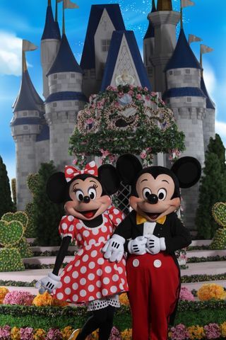 Mickey e Minnie