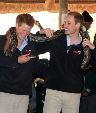 Príncipes seguram uma cobra na África