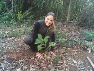 Ticiane Pinheiro planta árvore na TV