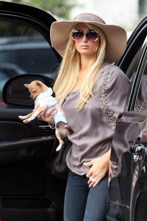 Paris Hilton e seu cachorrinho fashion