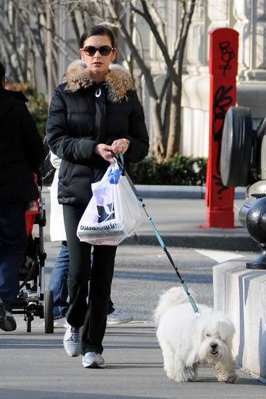 FOTO: Zeta-Jones passeia com cãozinho
