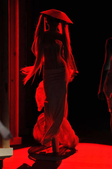 Cantora Lady Gaga arrasa na passarela