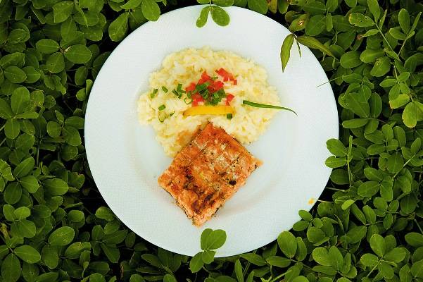 Chef aposta em combinações leves para acompanhar carnes