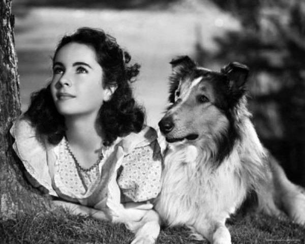 As várias fases de Elizabeth Taylor