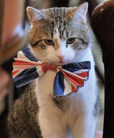 Agenda: Inglaterra em festa