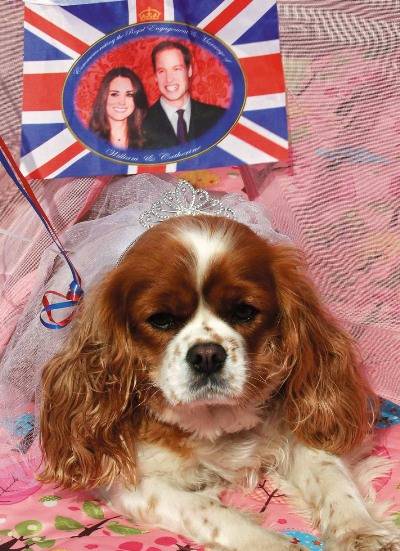 Agenda: Inglaterra em festa