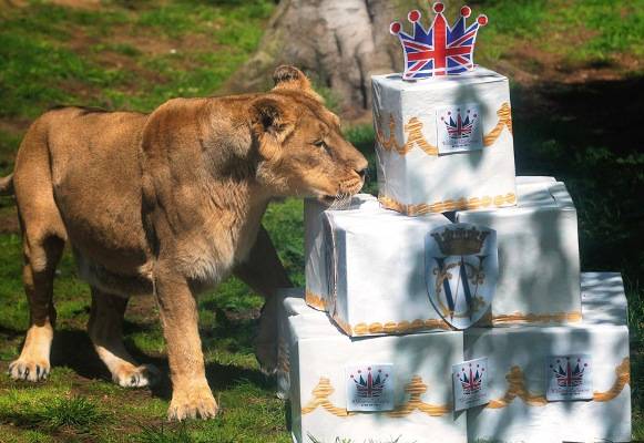 Agenda: Inglaterra em festa
