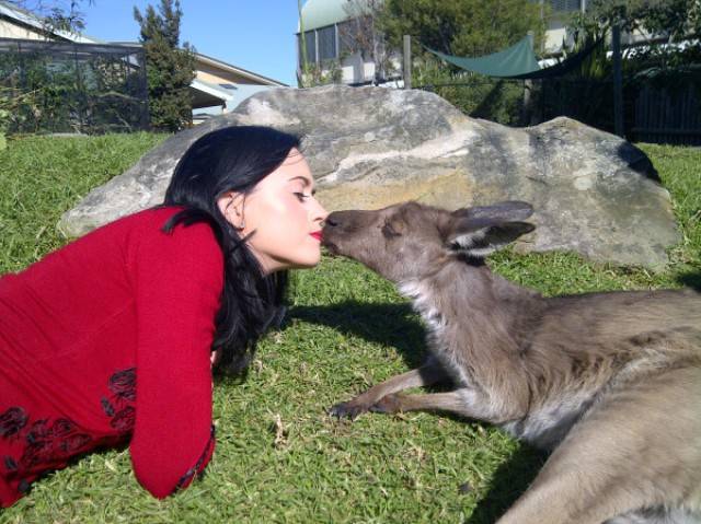 FOTO: Katy Perry beija canguru