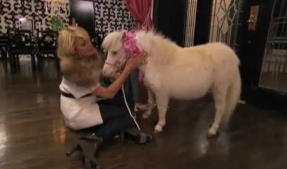 Paris Hilton ganha um pônei