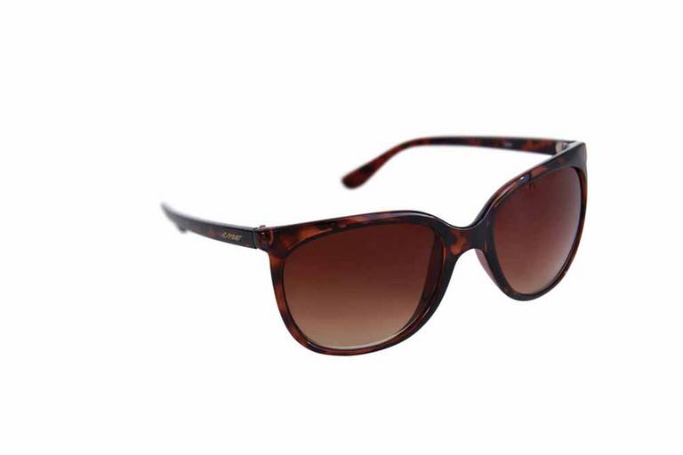 Gatinhos: Armação de acetato DAMYLLER 0800 484-700 [damyller.com.br]