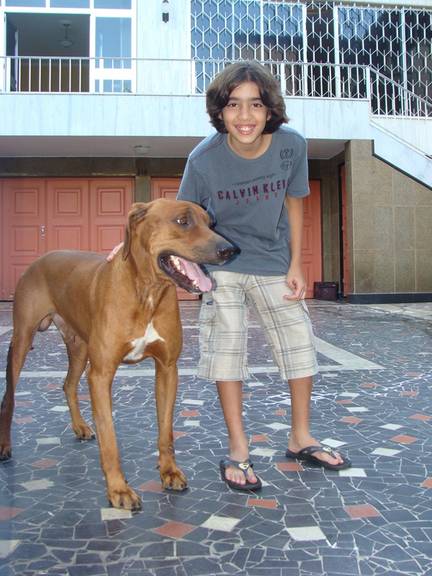 Matheus Costa chora a morte de cachorro