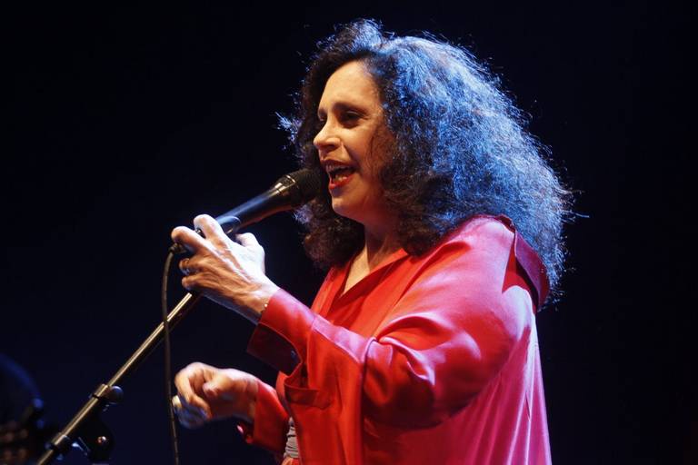 Famosos prestigiam show de Gal Costa