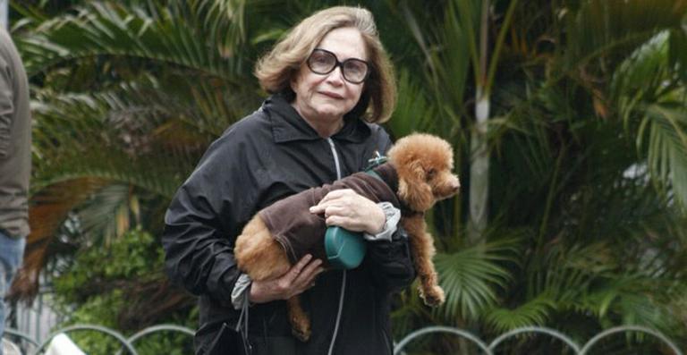 Nathália Timberg passeia com seu cão