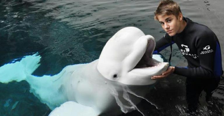 Justin Bieber mergulha com baleia
