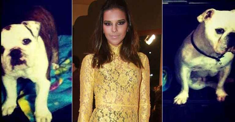 Mariana Rios: foto dos ‘filhos’