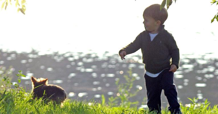 Tarde divertida de Ben Brady e seu cão