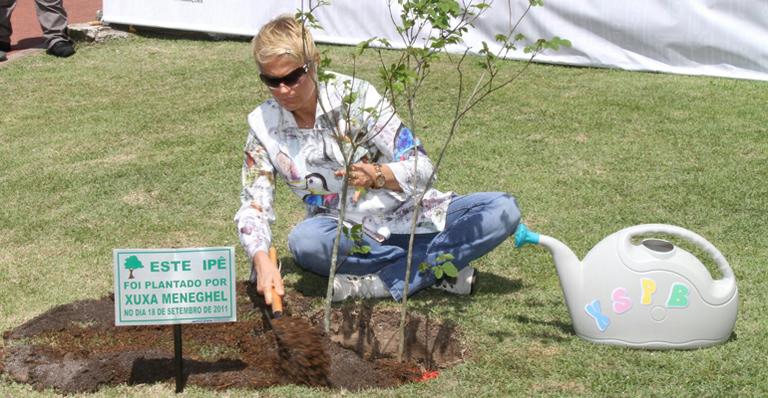 Xuxa planta árvore em lançamento de DVD