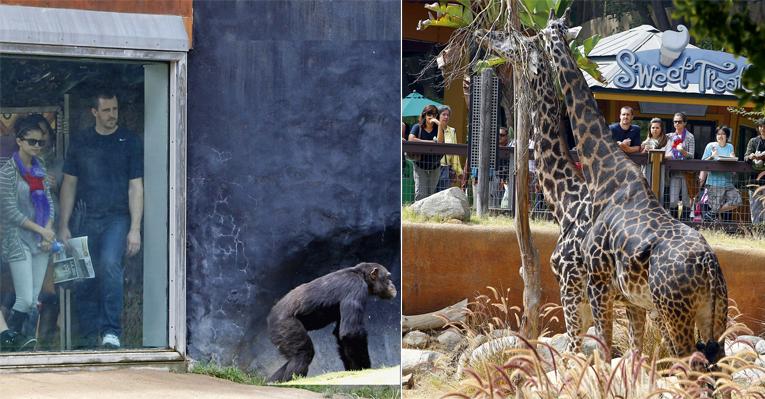 Selena Gomez no zoológico com a mãe e o padrasto