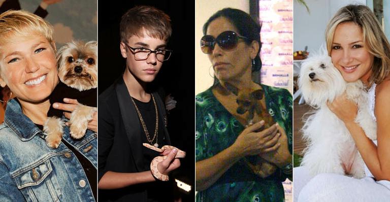 Os famosos adoram seus bichinhos de estimação. Conheça alguns dos pets!