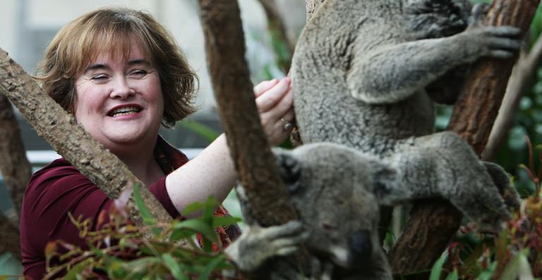 Susan Boyle brinca com coalas na Austrália