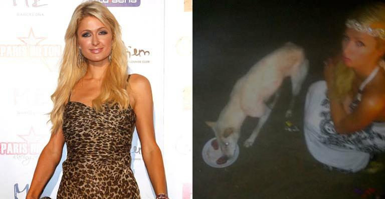 Paris Hilton compra carne no valor de 100 dólares para cão em Bali