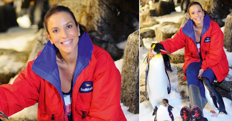 Durante férias em Orlando, Flórida, Ivete Sangalo tira foto com pinguins