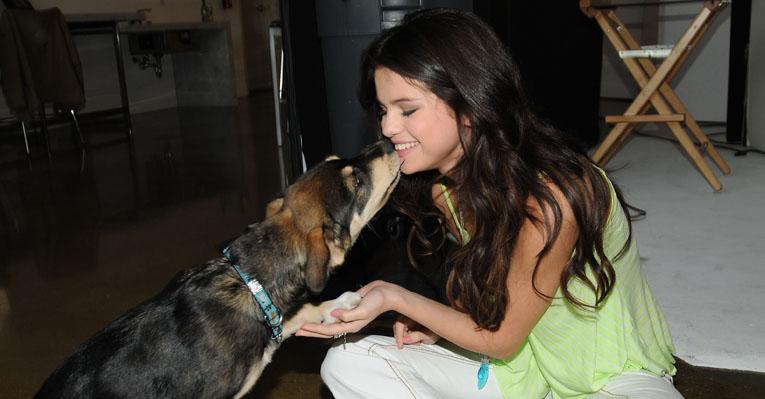 Cãozinho adotado por Selena Gomez e Justin Bieber passa bem