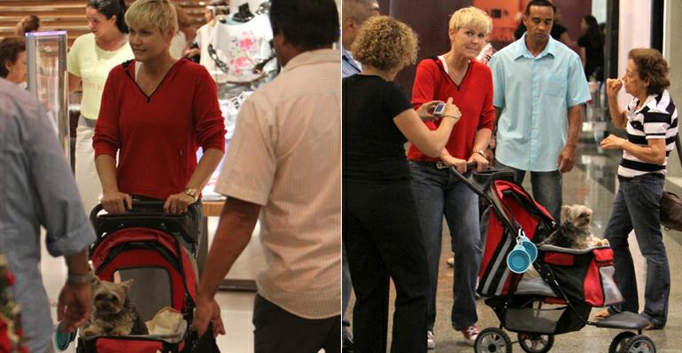 Xuxa passeia com o cachorro Dudu em carrinho