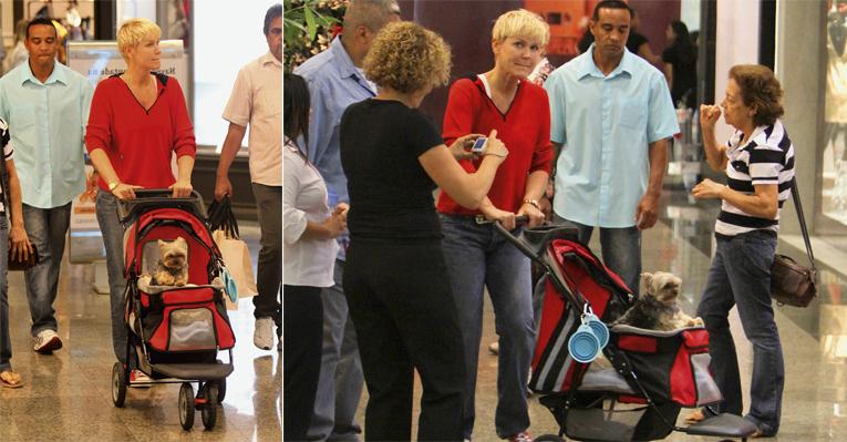Xuxa passeia com cachorro em carrinho no Rio