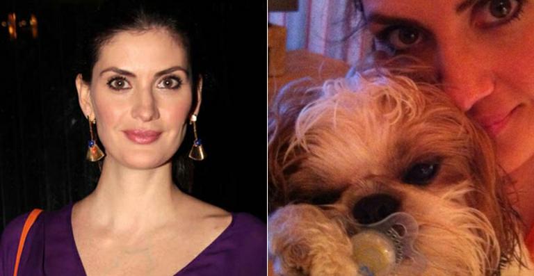 Cãozinho de Isabella Fiorentino rouba chupeta de seu filho
