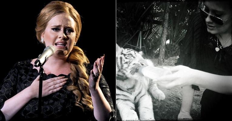 Adele alimenta tigre branco com uma mamadeira